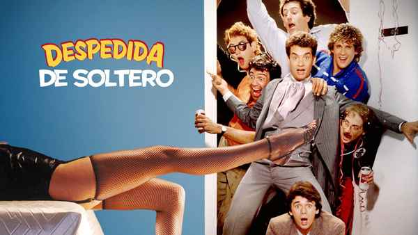 Bachelor Party Poster 7