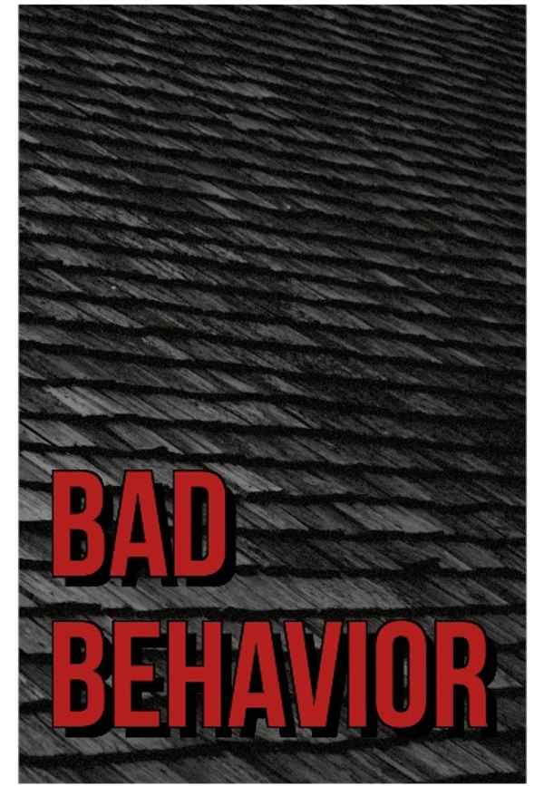 Bad Behavior Poster 5