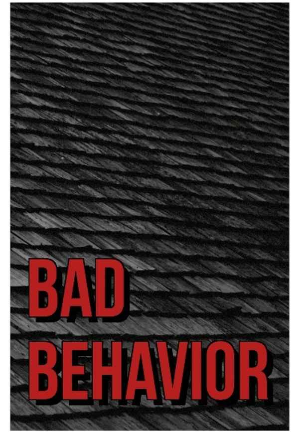 Bad Behavior Poster 6