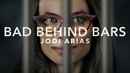 Bad Behind Bars: Jodi Arias Poster 3