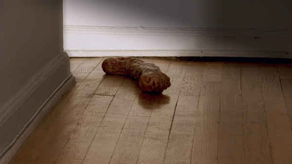 Bad Biology Poster 6