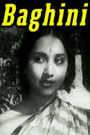 Baghini Poster 2