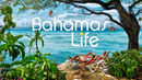 Bahamas Life Poster 1