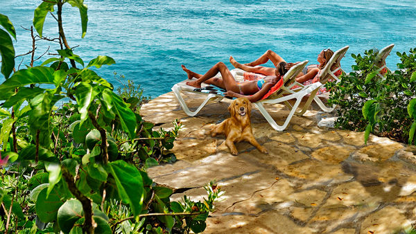 Bahamas Life Poster 2