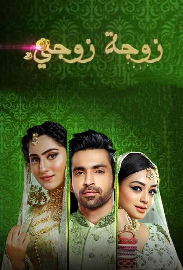 Bahu Begum Poster 6