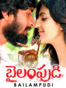 Bailampudi Poster 2