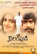 Bailampudi Poster 7