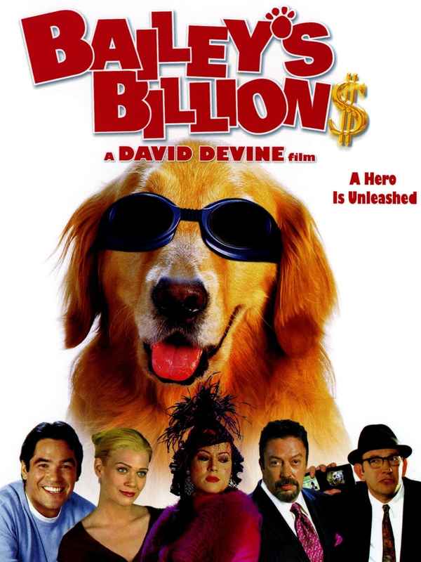 Bailey's Billion$ Poster 4