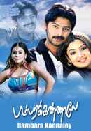 Bambara Kannaley Poster 5