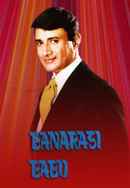 Banarasi Babu Poster 3