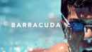 Barracuda Poster 6