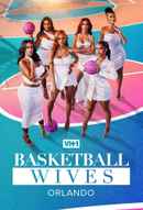 Basketball Wives: Orlando Poster 4