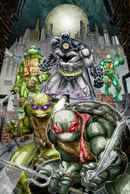 Batman vs. Teenage Mutant Ninja Turtles Poster 2