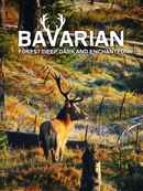 Bavarian Forest Deep Dark And Enchanted Poster 1