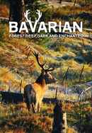 Bavarian Forest Deep Dark And Enchanted Poster 6