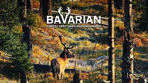 Bavarian Forest Deep Dark And Enchanted Poster 3