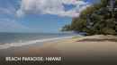 Beach Paradise: Hawaii Poster 3