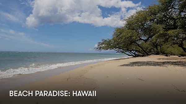 Beach Paradise: Hawaii Poster 3