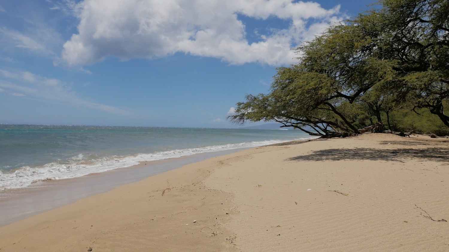 Beach Paradise: Hawaii