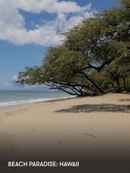 Beach Paradise: Hawaii Poster 2
