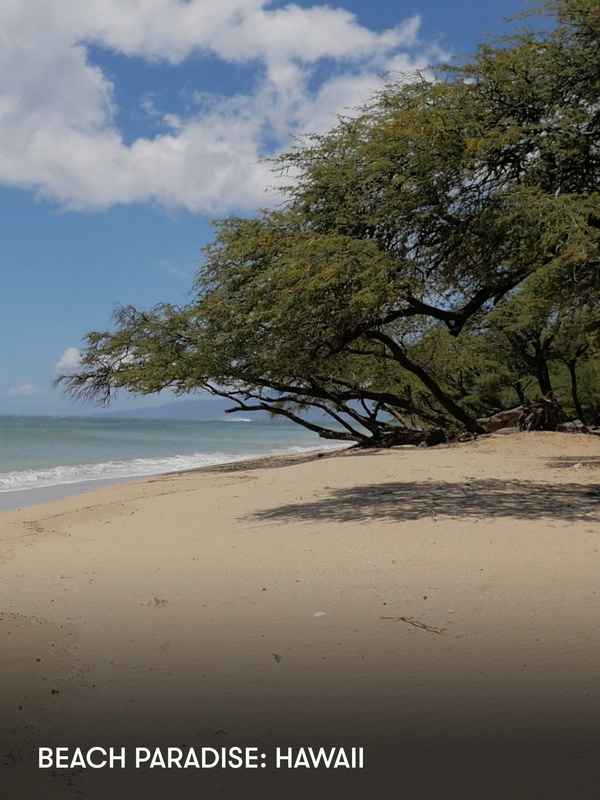 Beach Paradise: Hawaii Poster 2