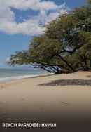Beach Paradise: Hawaii Poster 4