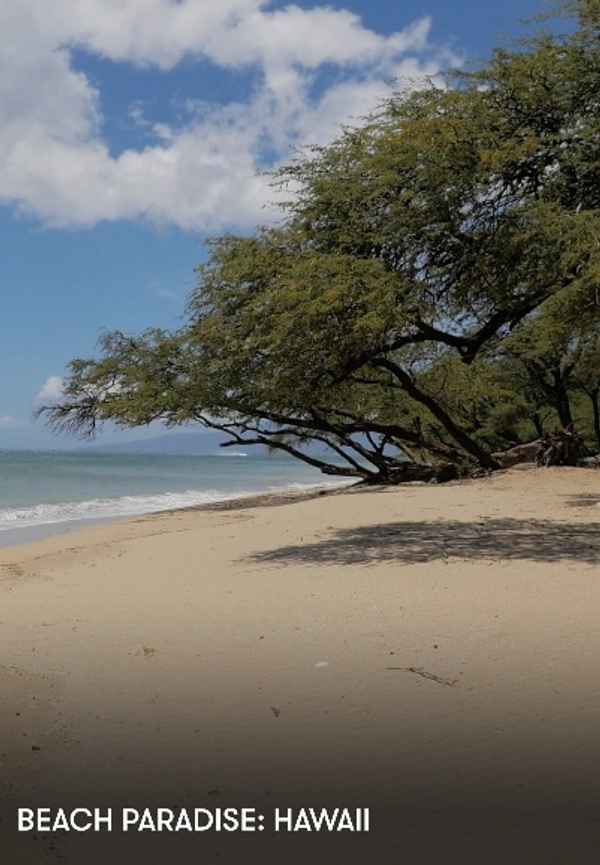 Beach Paradise: Hawaii Poster 4