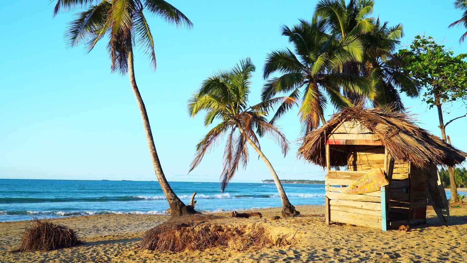 Beachside Hut: Dominican Republic