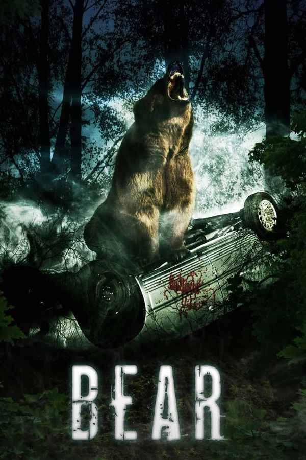 Bear Poster 2