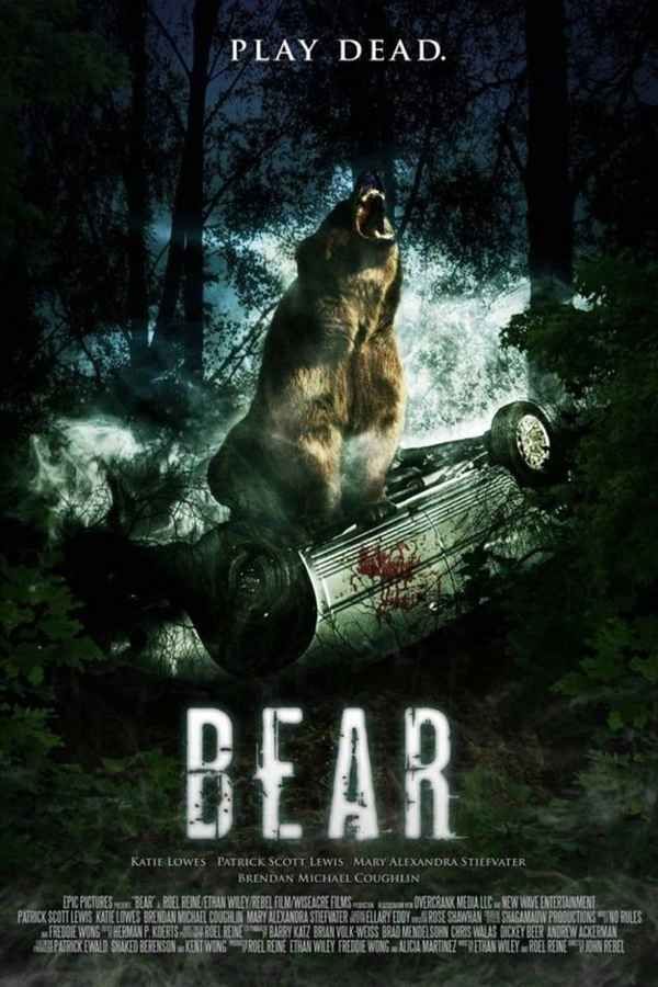 Bear Poster 4