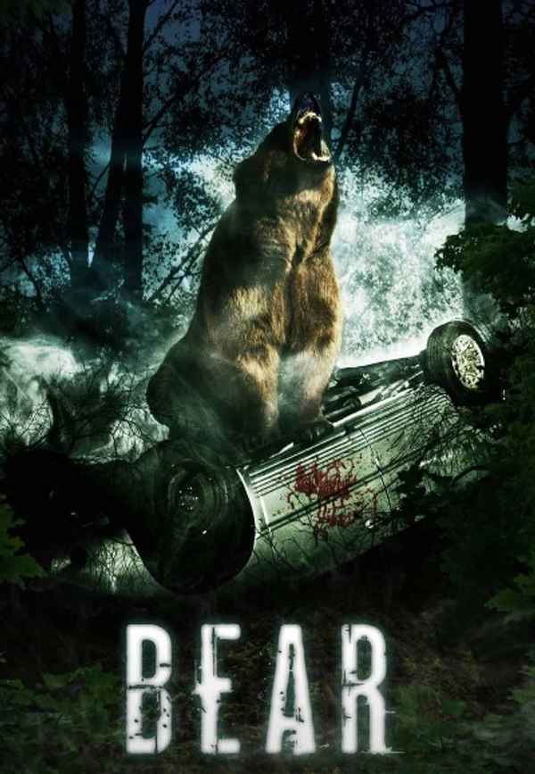 Bear Poster 5
