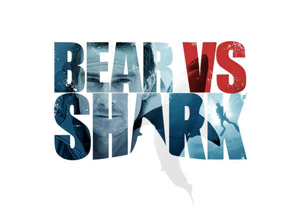 Bear vs Shark Poster 2