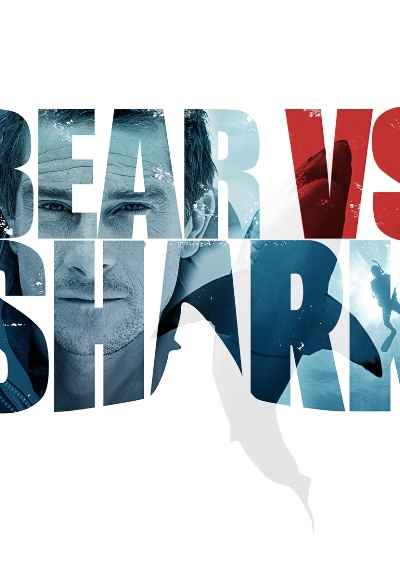Bear vs Shark