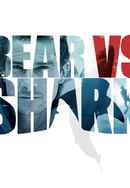 Bear vs Shark Poster 4