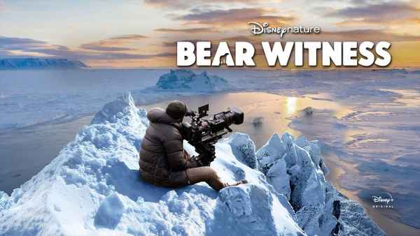 Bear Witness Poster 7