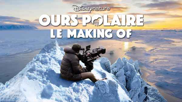 Bear Witness Poster 2