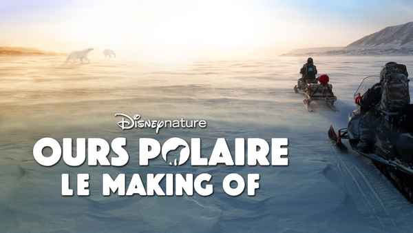 Bear Witness Poster 3