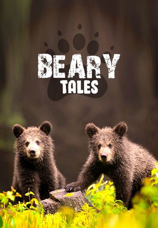 Beary Tales Poster 2