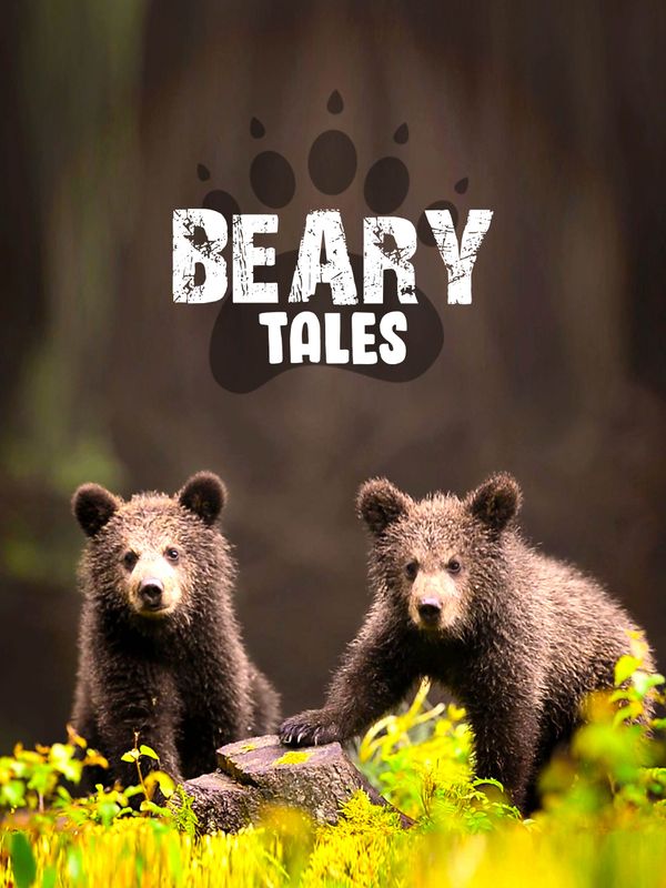 Beary Tales Poster 1