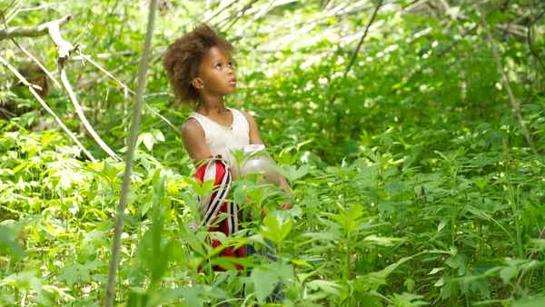 Beasts of the Southern Wild Poster 7