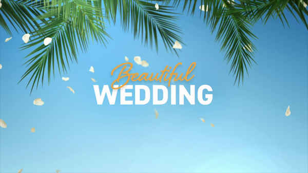 Beautiful Wedding Poster 1