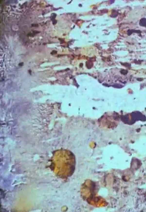 Beauty and the Beast Poster 3