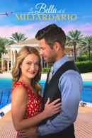 Beauty and the Billionaire Poster 7