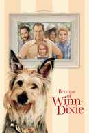 Because of Winn-Dixie Poster 7