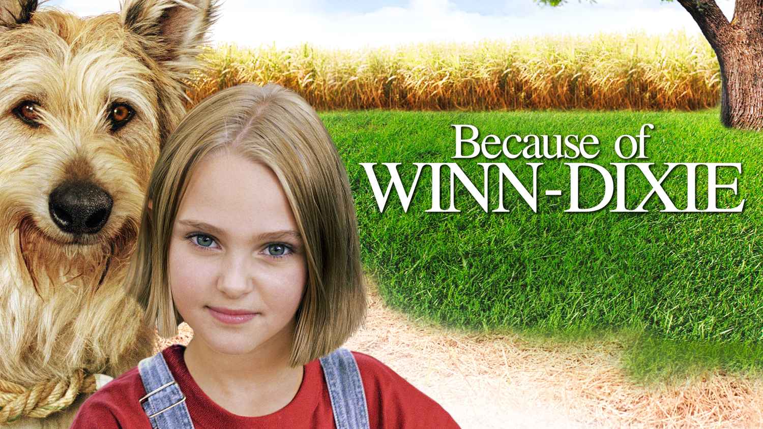 because-of-winn-dixie-movie-2005-release-date-cast-trailer-songs