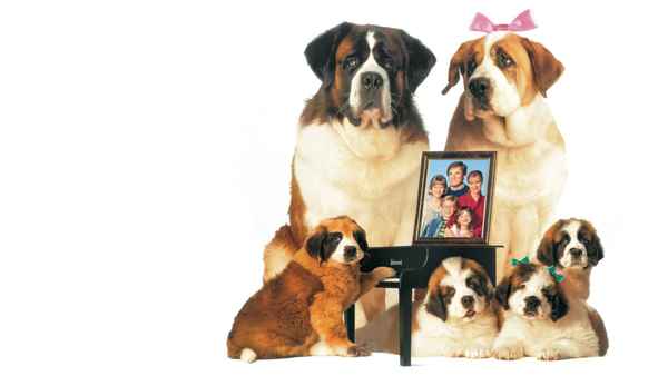 Beethoven's 2nd Poster 1