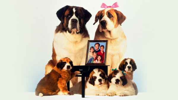 Beethoven's 2nd Poster 2