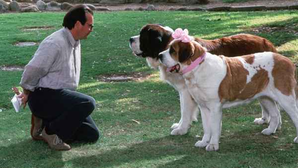 Beethoven's 2nd Poster 7