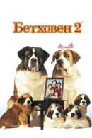 Beethoven's 2nd Poster 4