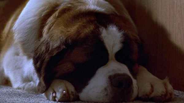 Beethoven's 4th Poster 4